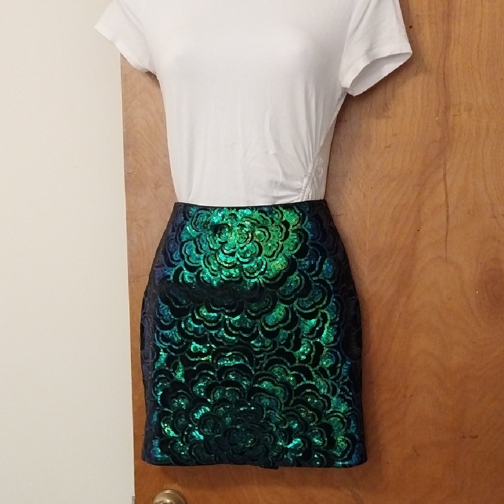 H&M Irridescent Sequin Velvet Skirt